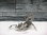 3D Puzzle Scorpion Edelstahl
